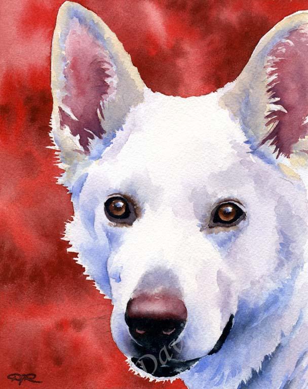 A White German Shepherd portrait print based on a David J Rogers original watercolor