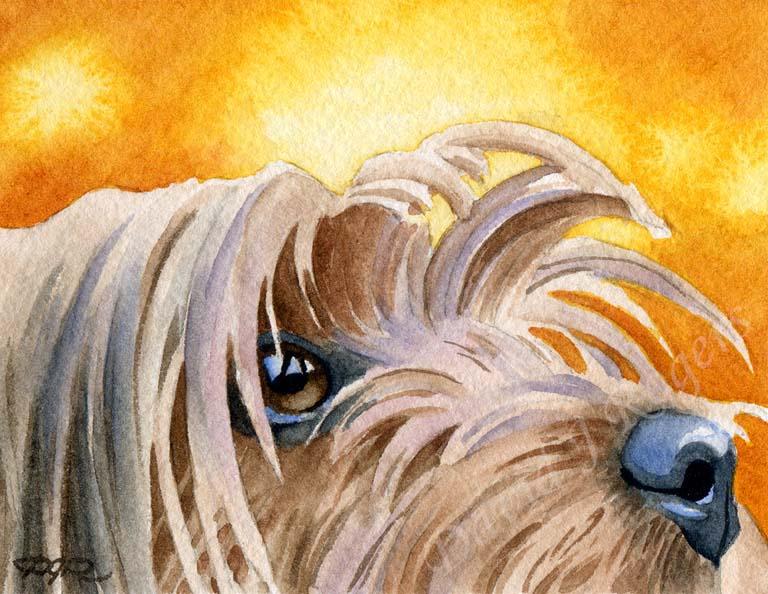 A Yorkshire Terrier portrait print based on a David J Rogers original watercolor