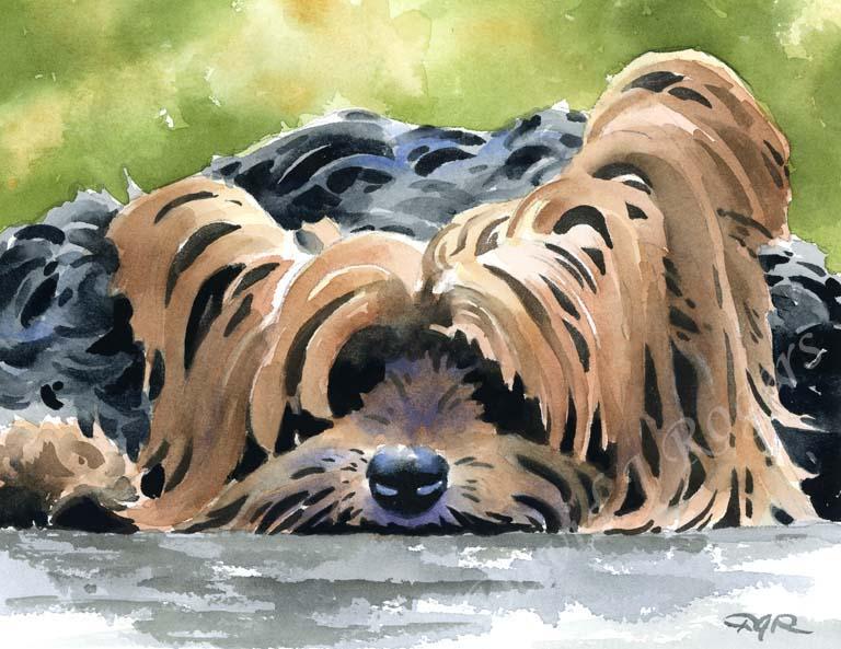 A Yorkshire Terrier 0 print based on a David J Rogers original watercolor