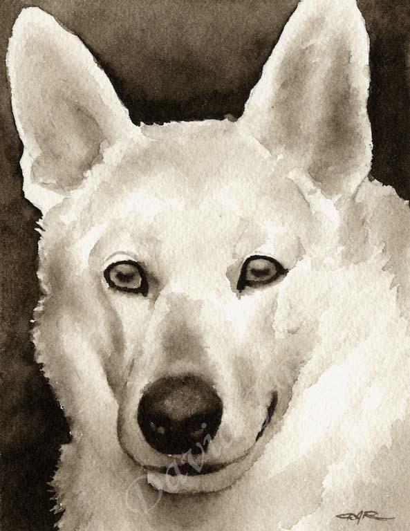 A White German Shepherd portrait print based on a David J Rogers original watercolor