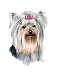 A Yorkshire Terrier 0 print based on a David J Rogers original watercolor